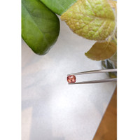 1.65 Ct. Padparadscha Sapphire from Ceylon (Sri Lanka) Life Style