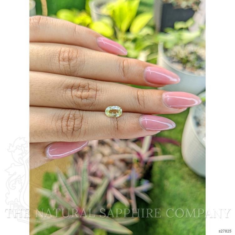 1.25 Ct. Yellow Sapphire from Ceylon (Sri Lanka)