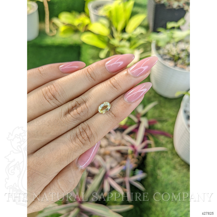 1.25 Ct. Yellow Sapphire from Ceylon (Sri Lanka)