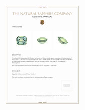 Jewelry Appraisal