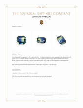 Jewelry Appraisal