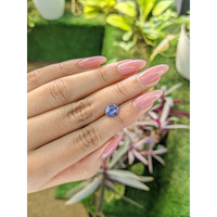 1.39 Ct. Blue Sapphire from Ceylon (Sri Lanka) Life Style