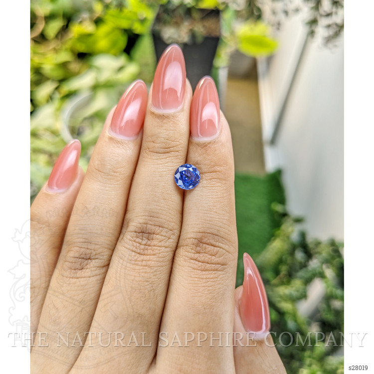 1.56 Ct. Blue Sapphire from Ceylon (Sri Lanka)