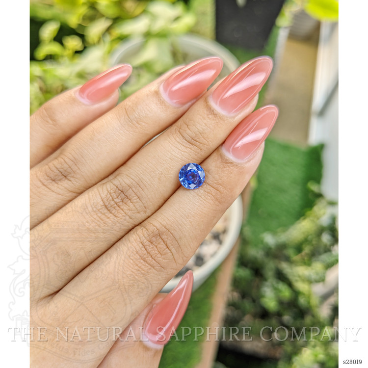 1.56 Ct. Blue Sapphire from Ceylon (Sri Lanka)