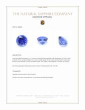 1.17 Ct. Blue Sapphire from Ceylon (Sri Lanka) Appraisal