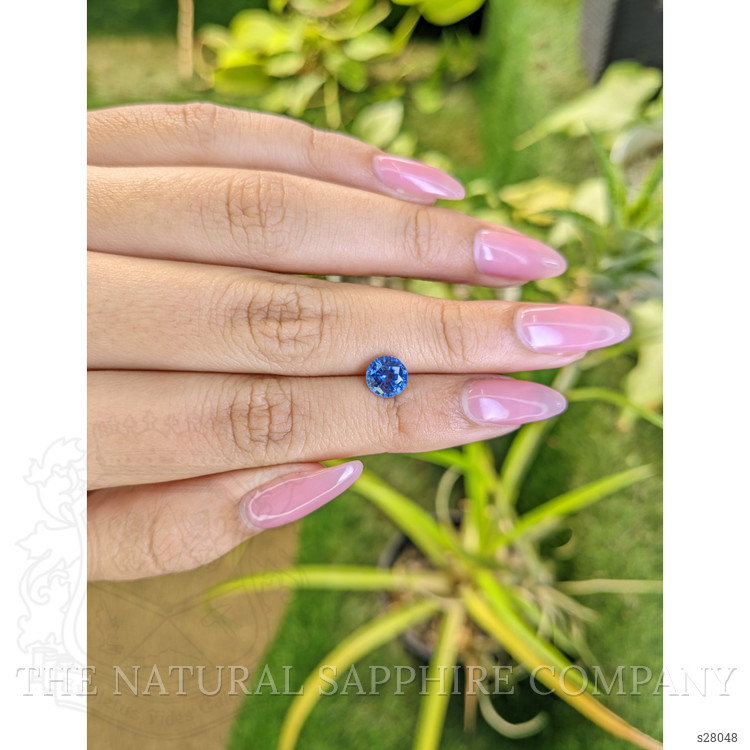 1.55 Ct. Blue Sapphire from Ceylon (Sri Lanka)