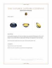 Jewelry Appraisal