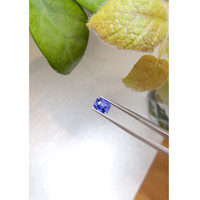 2.15 Ct. Blue Sapphire from Ceylon (Sri Lanka) Life Style