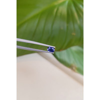 0.57 Ct. Blue Sapphire from Madagascar Life Style