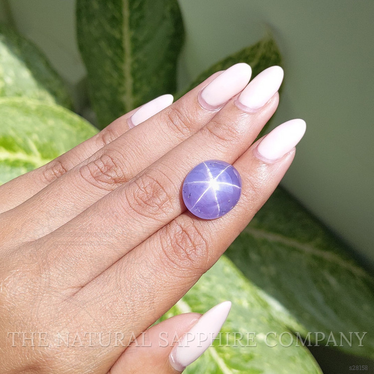 21.52 Ct. Violet Star Sapphire from Ceylon (Sri Lanka)