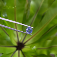 1.87 Ct. Purplish Blue Sapphire from Ceylon (Sri Lanka) Life Style