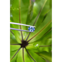 1.74 Ct. Blue Sapphire from Ceylon (Sri Lanka) Life Style