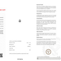 Jewelry Scan Report