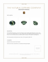 Jewelry Appraisal
