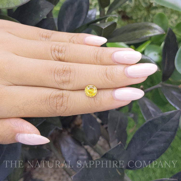 1.61 Ct. Yellow Sapphire from Madagascar
