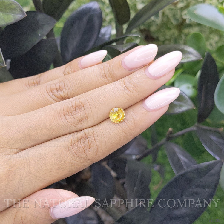 1.61 Ct. Yellow Sapphire from Madagascar