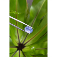 8.49 Ct. Blue Sapphire from Kashmir Life Style