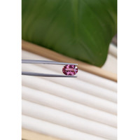 1.93 Ct. Pink Sapphire from Ceylon (Sri Lanka) Life Style