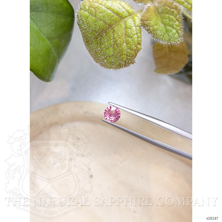 0.96 Ct. Pink Sapphire from Ceylon (Sri Lanka)