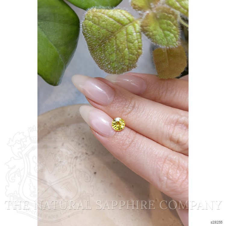 0.97 Ct. Yellow Sapphire from Ceylon (Sri Lanka)