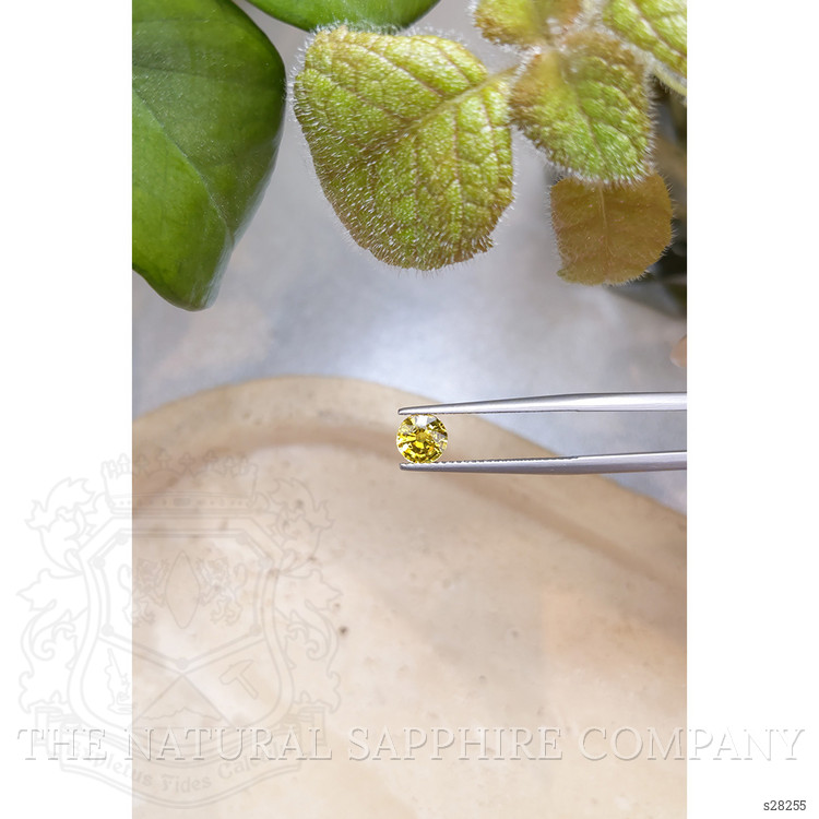 0.97 Ct. Yellow Sapphire from Ceylon (Sri Lanka)