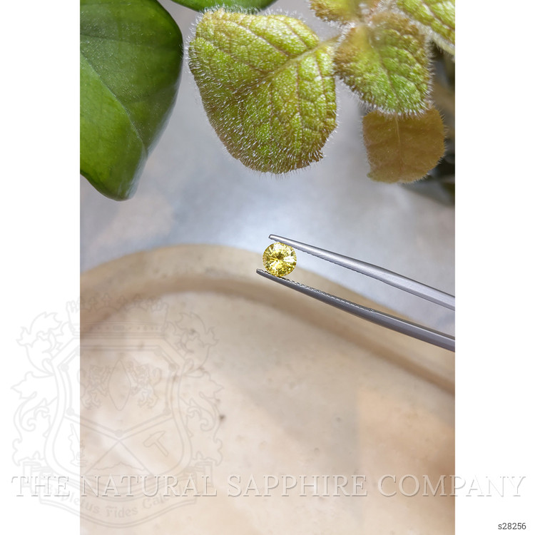 0.98 Ct. Yellow Sapphire from Ceylon (Sri Lanka)