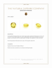 0.95 Ct. Yellow Sapphire from Ceylon (Sri Lanka) Appraisal