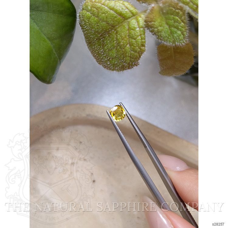 0.95 Ct. Yellow Sapphire from Ceylon (Sri Lanka)