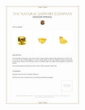1.00 Ct. Yellow Sapphire from Ceylon (Sri Lanka) Appraisal