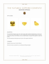 1.00 Ct. Yellow Sapphire from Ceylon (Sri Lanka) Appraisal