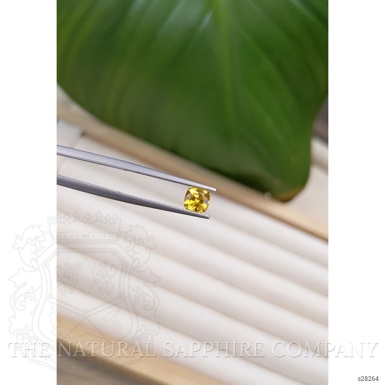 1.00 Ct. Yellow Sapphire from Ceylon (Sri Lanka)