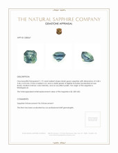 1.19 Ct. Bluish Green Sapphire from Madagascar Appraisal
