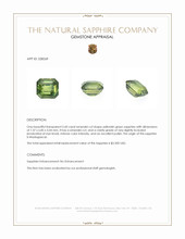 2.60 Ct. Yellowish Green Sapphire from Madagascar Appraisal
