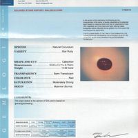 14.99 Ct. Star Ruby from Burma (Myanmar) Scan Report