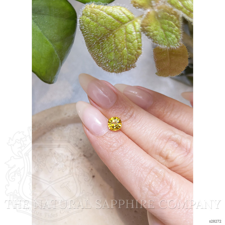 1.31 Ct. Yellow Sapphire from Ceylon (Sri Lanka)