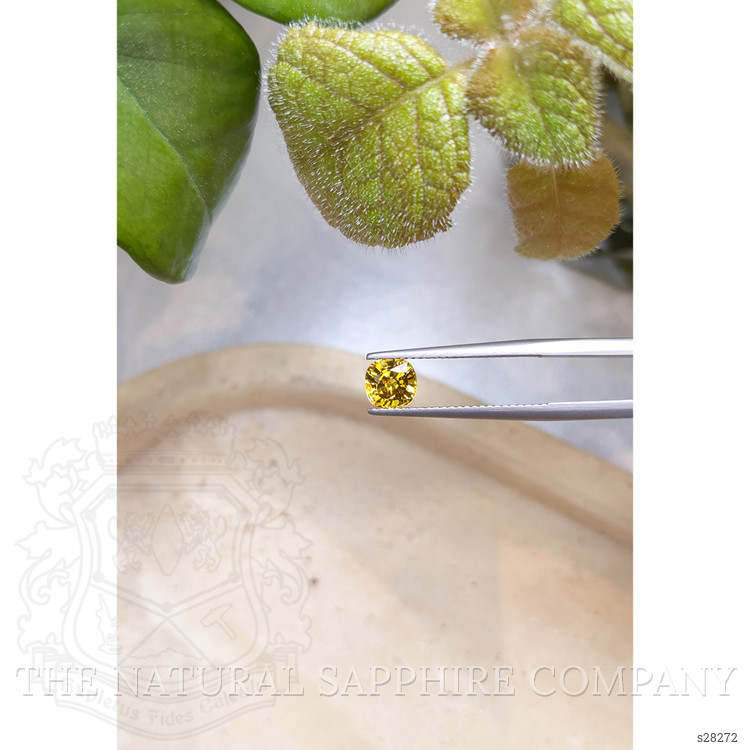 1.31 Ct. Yellow Sapphire from Ceylon (Sri Lanka)