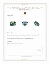 Jewelry Appraisal