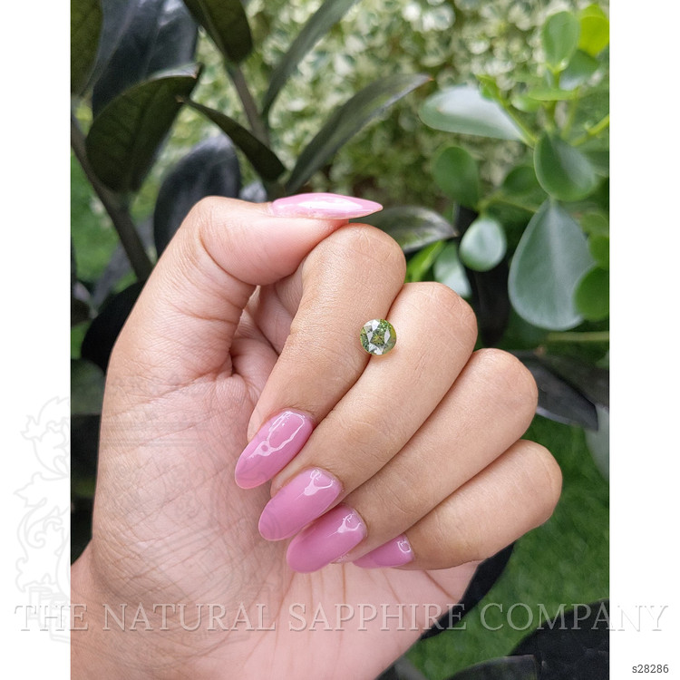 1.67 Ct. Bi Color Sapphire from Madagascar