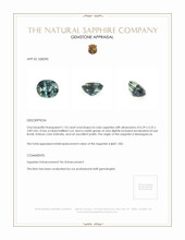 Jewelry Appraisal