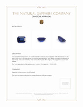 1.04 Ct. Blue Sapphire from Ceylon (Sri Lanka) Appraisal