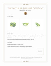 Jewelry Appraisal
