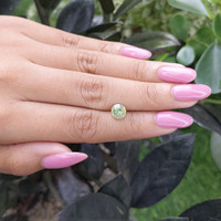 1.58 Ct. Yellowish Green Sapphire from Madagascar Life Style