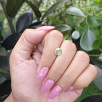 1.58 Ct. Yellowish Green Sapphire from Madagascar Life Style