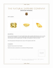 1.04 Ct. Yellow Sapphire from Ceylon (Sri Lanka) Appraisal