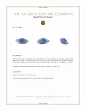 12.61 Ct. Blue Sapphire from Kashmir Appraisal