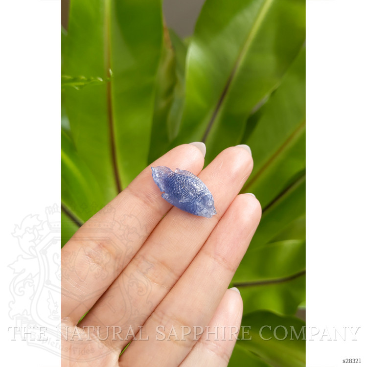 12.61 Ct. Blue Sapphire from Kashmir