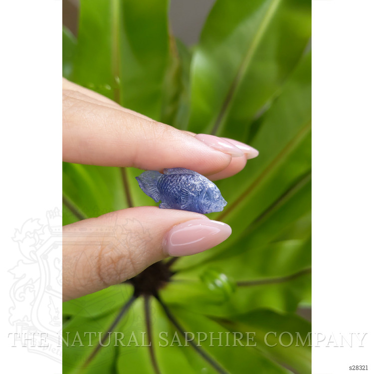 12.61 Ct. Blue Sapphire from Kashmir