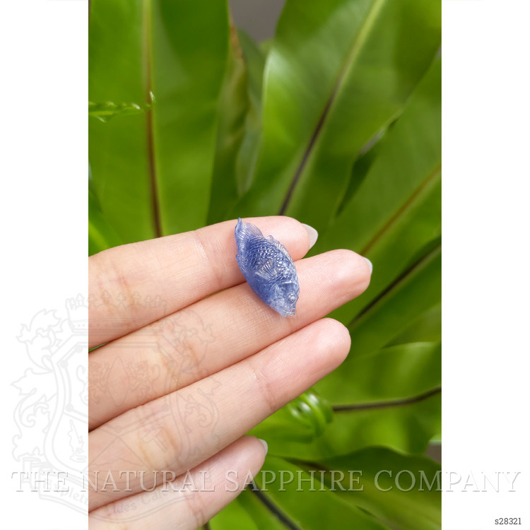 12.61 Ct. Blue Sapphire from Kashmir