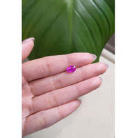2.21 Ct. Pink Sapphire from Ceylon (Sri Lanka) Life Style