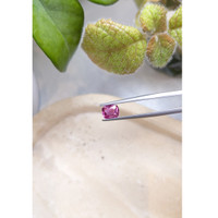 1.78 Ct. Purplish Pink Sapphire from Ceylon (Sri Lanka) Life Style